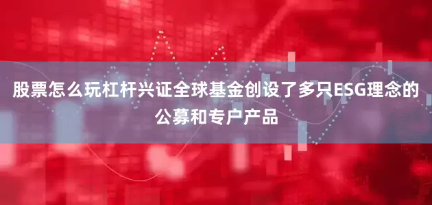 股票怎么玩杠杆兴证全球基金创设了多只ESG理念的公募和专户产品