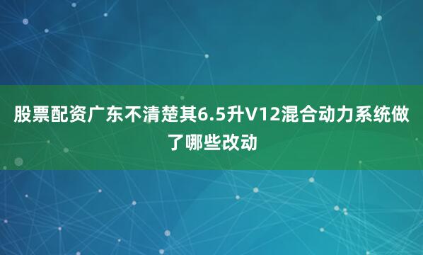股票配资广东不清楚其6.5升V12混合动力系统做了哪些改动