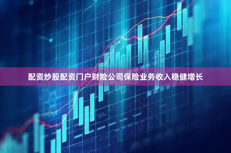 配资炒股配资门户财险公司保险业务收入稳健增长