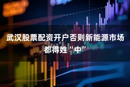 武汉股票配资开户否则新能源市场都得姓“中”